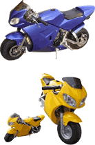 pocketbike_Z600.gif (138x210 -- 9909 bytes)