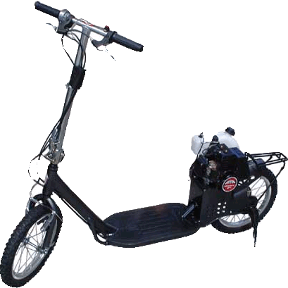 Mosquito Stinger Gas Scooter